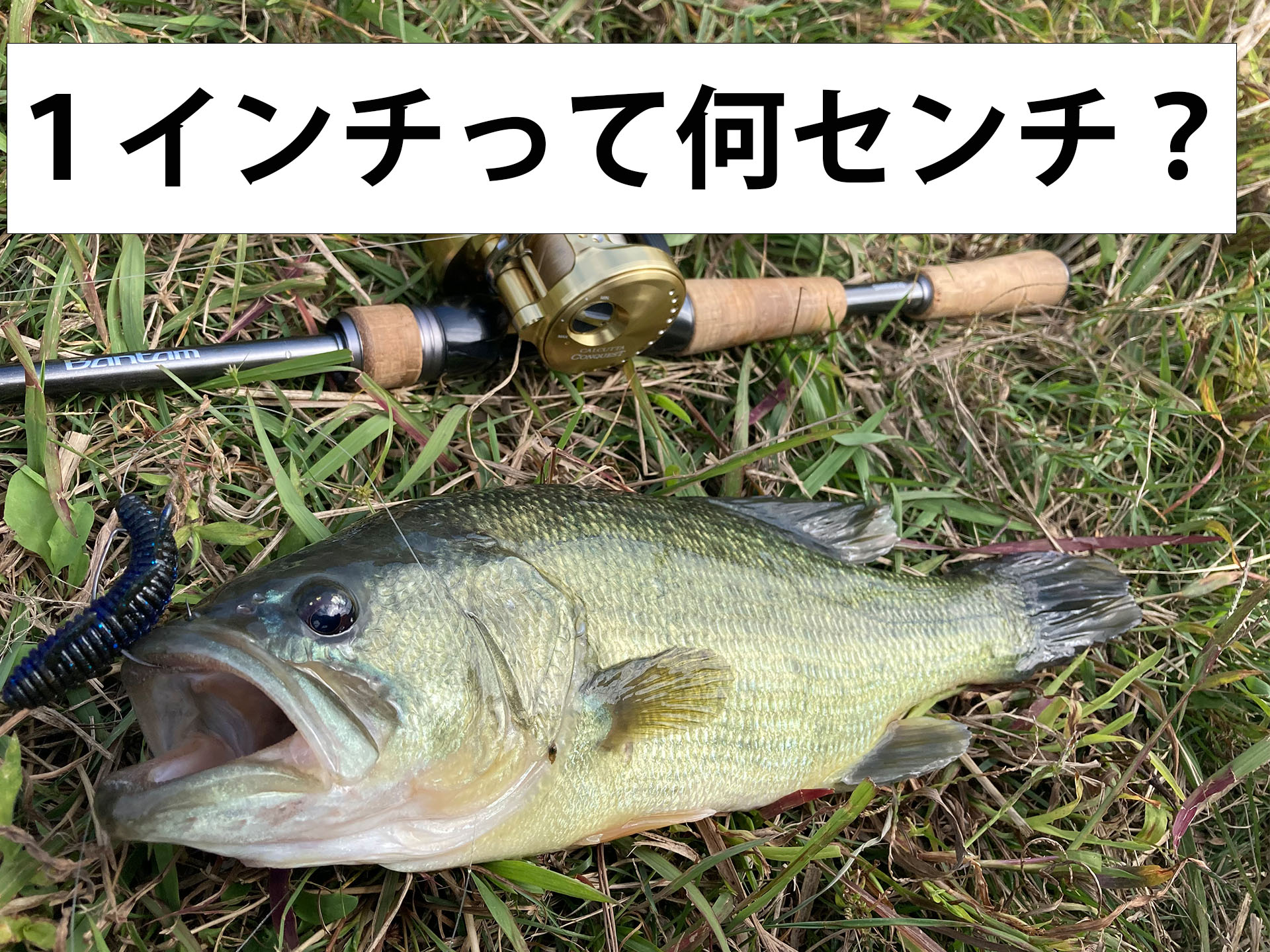 10 フィート 何 センチ
